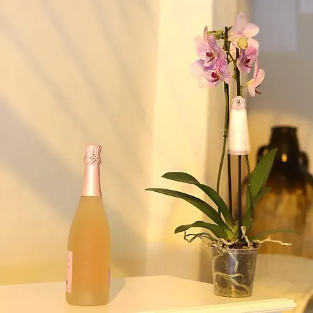 Panzió Palazzo Castiglione